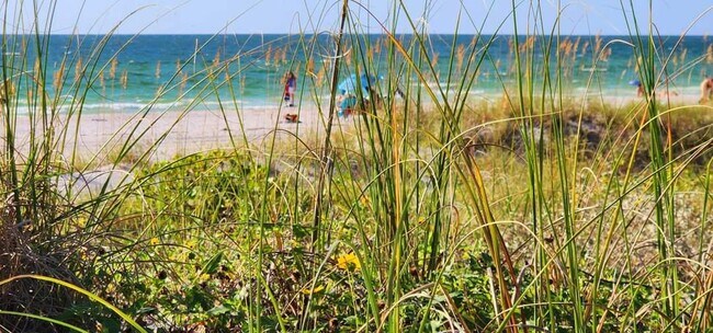 Building Photo - FURNISHED LUXURY 3 Br 3 Ba RENTAL NEAR DOWNTOWN ST PETERSBURG, FL