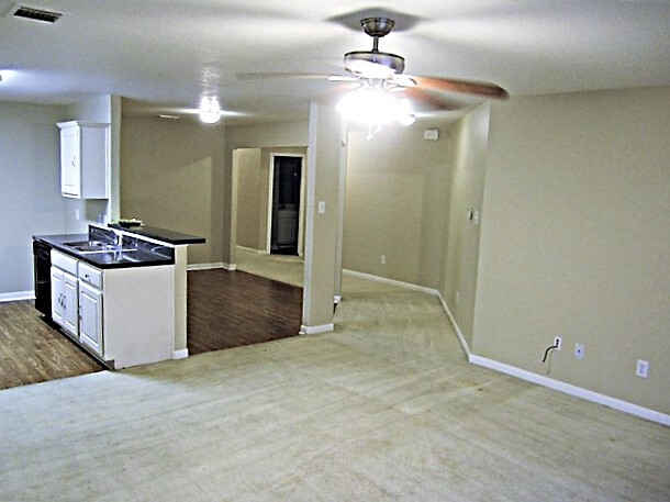 Building Photo - 4510 Nueces River Loop