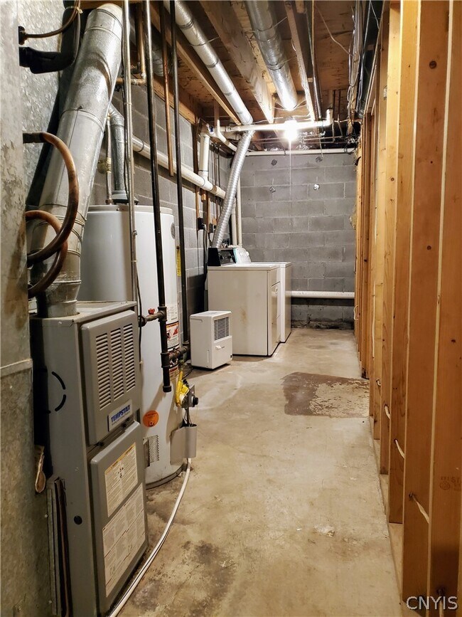 Building Photo - 8217 Trevi Ln