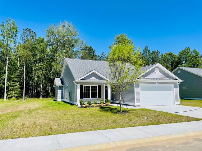 Building Photo - 1 year New 3bd / 2ba w/ high end finishes, right in the heart of Conway!!