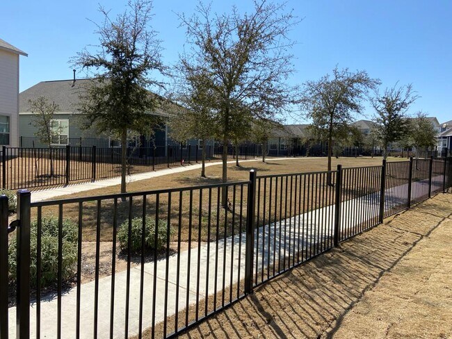 Back yard - 162 Rains