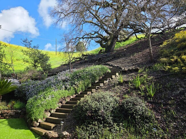 Building Photo - Spacious Walnut Creek Home