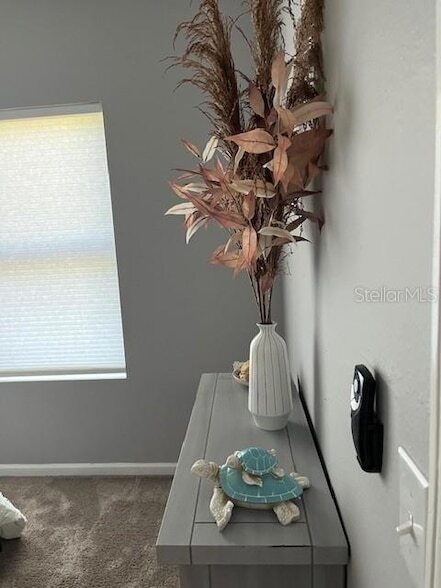 Building Photo - 10764 70th Ave