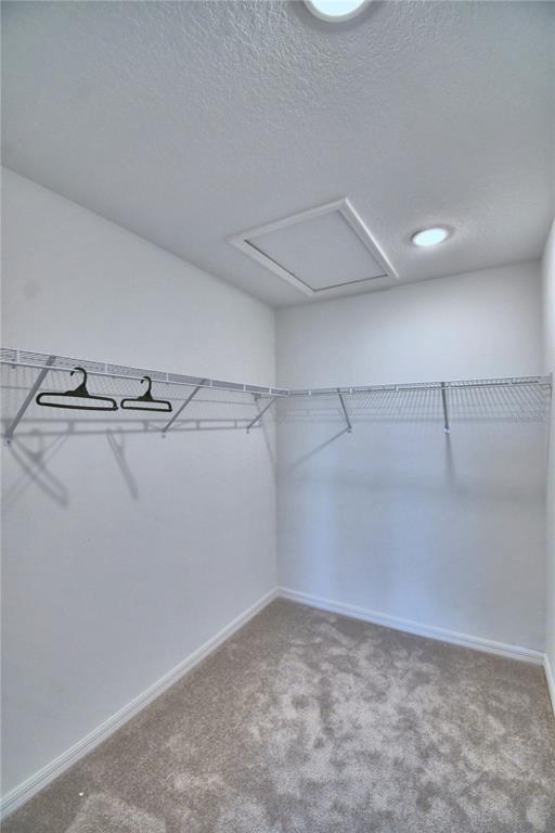 Building Photo - 3811 Sepia St