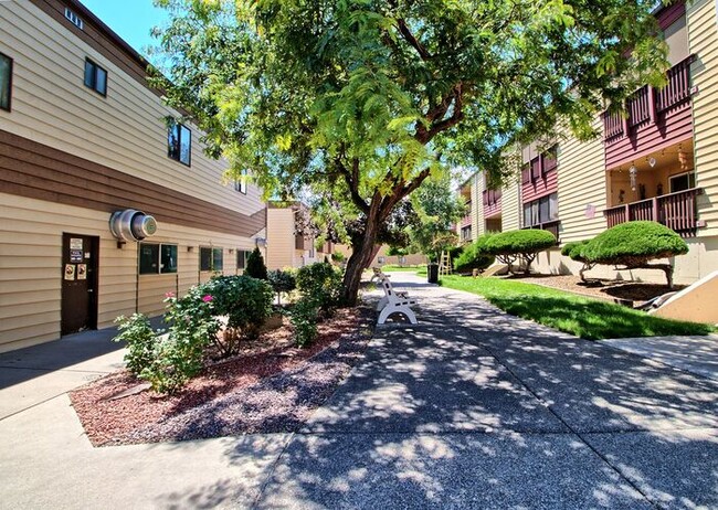 Building Photo - Cozy 2-Bedroom Condo Near CMU & St. Mary’s – Great Amenities!