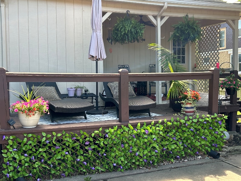 Building Photo - 940 S Cedar St