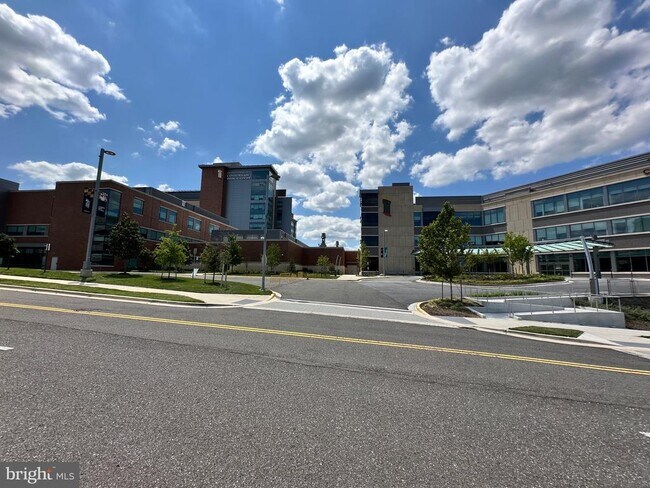 Building Photo - 1705 Palmetto Dr