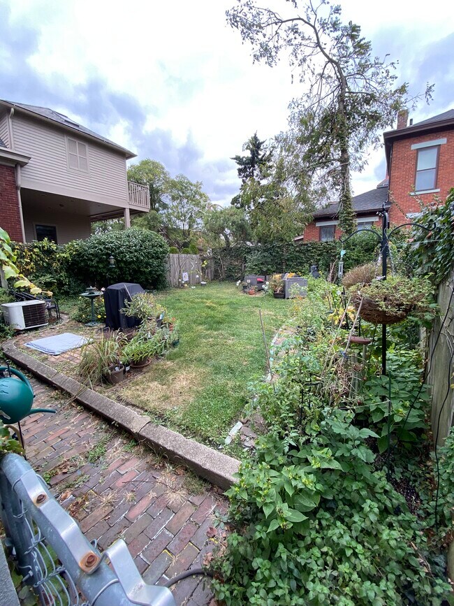 fenced backyard - 560 S 3rd St
