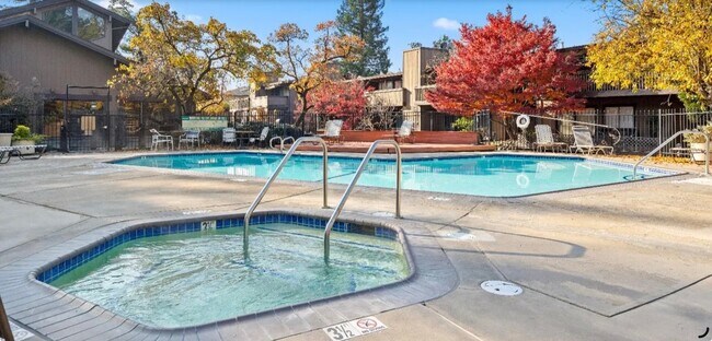 Pool and Jacuzzi - 911 Fulton Ave