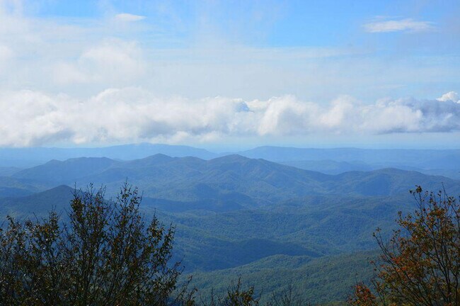 Building Photo - 644 Gladdens Creek Rd