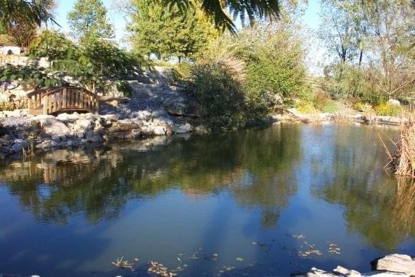 Fish pond with bridge - 6245 Iron Bridges Rd