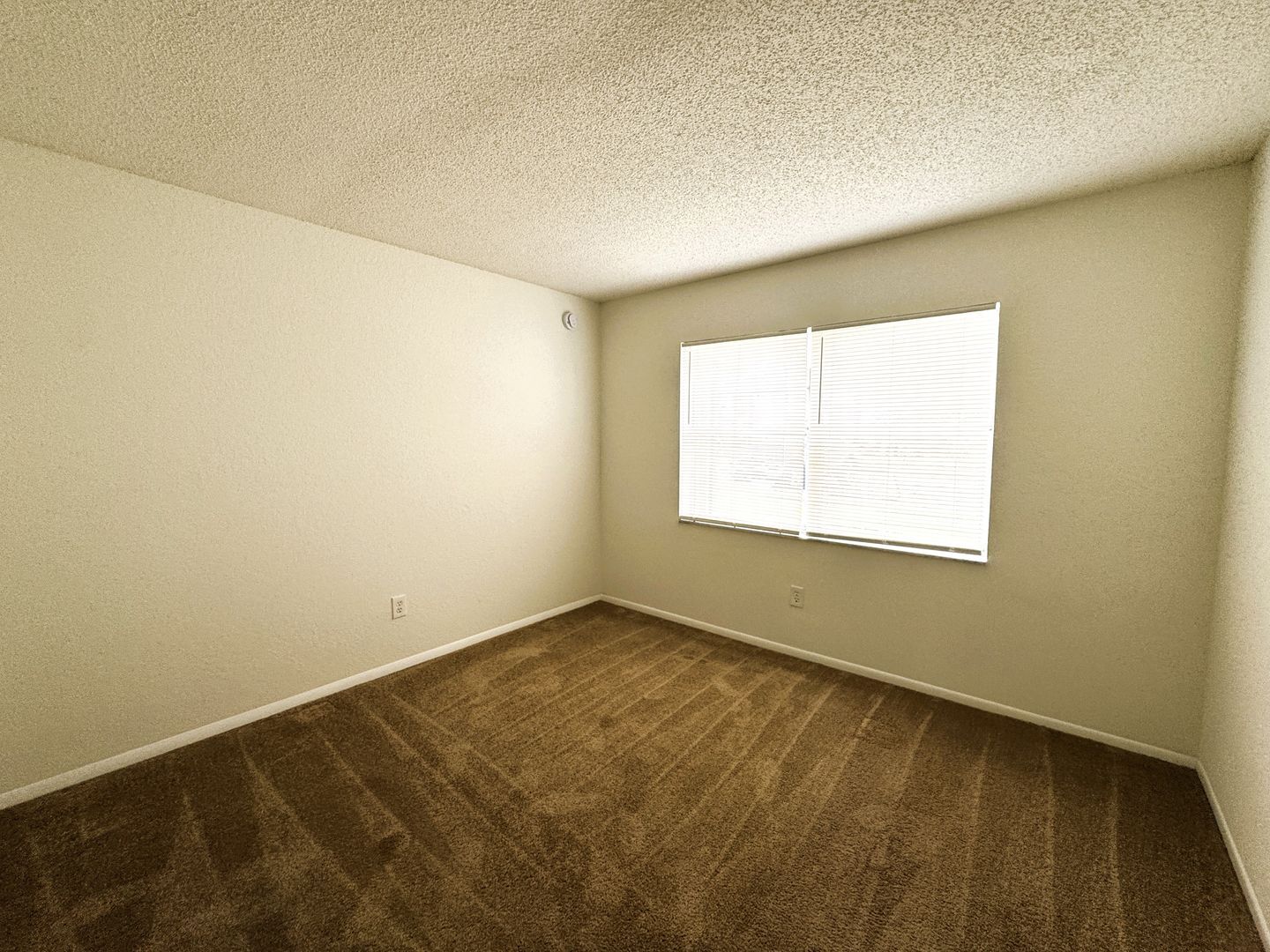 Building Photo - 25100 Sandhill Blvd