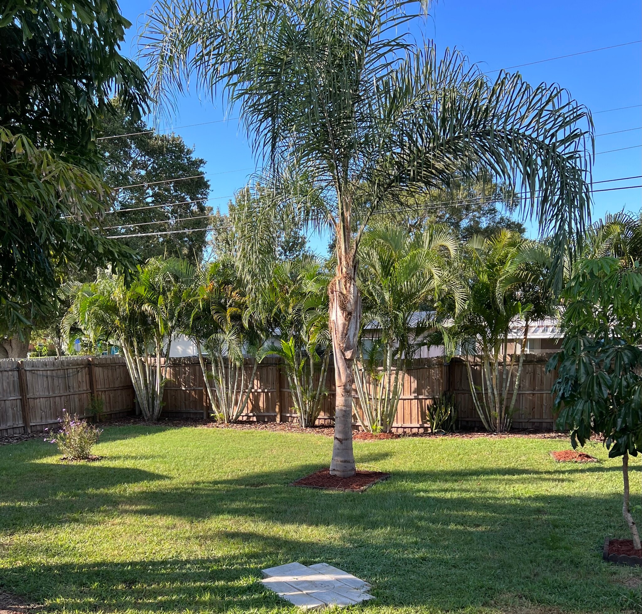 Building Photo - 5321 Newton Ave S