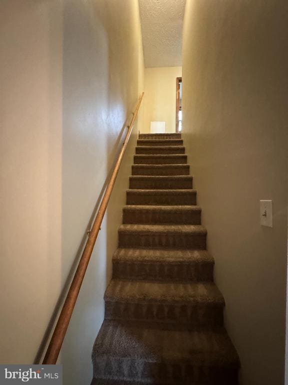 Building Photo - 512 Allston Cir