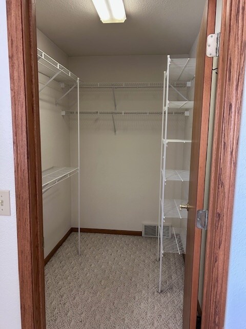 Master BR Walk In - 817 Thelosen Dr