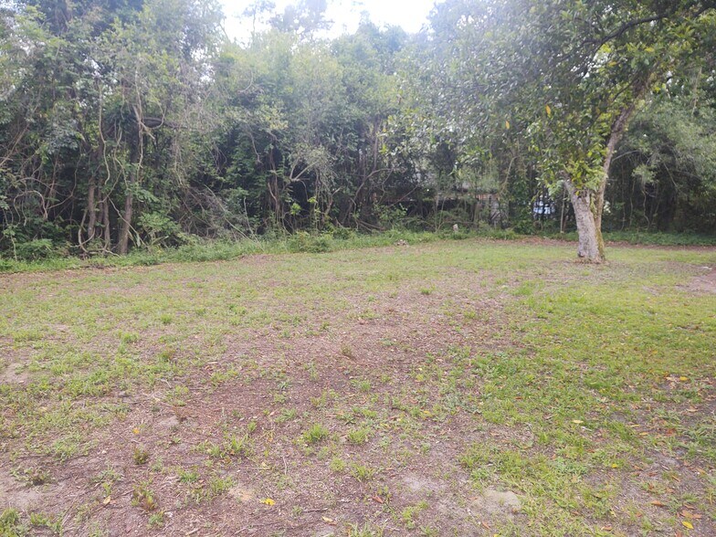 Backyard - 116 Houseworth St