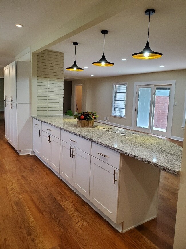 Building Photo - Newly Remodeled Mid Century Style Home!!