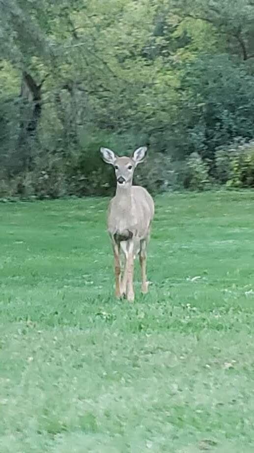 Building Photo - 607 Tamarack Dr W