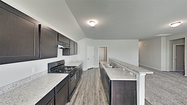 Building Photo - 4325 Siena Rdg Blvd