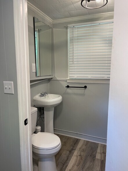 half bath - 605 N Adair Street Apt #5