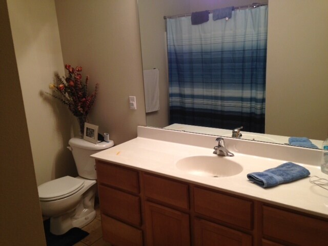 Master bathroom - 423 Cedar Pl