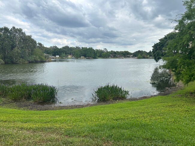 Building Photo - Available Mid April - Lovely 2/2 in in Alt...