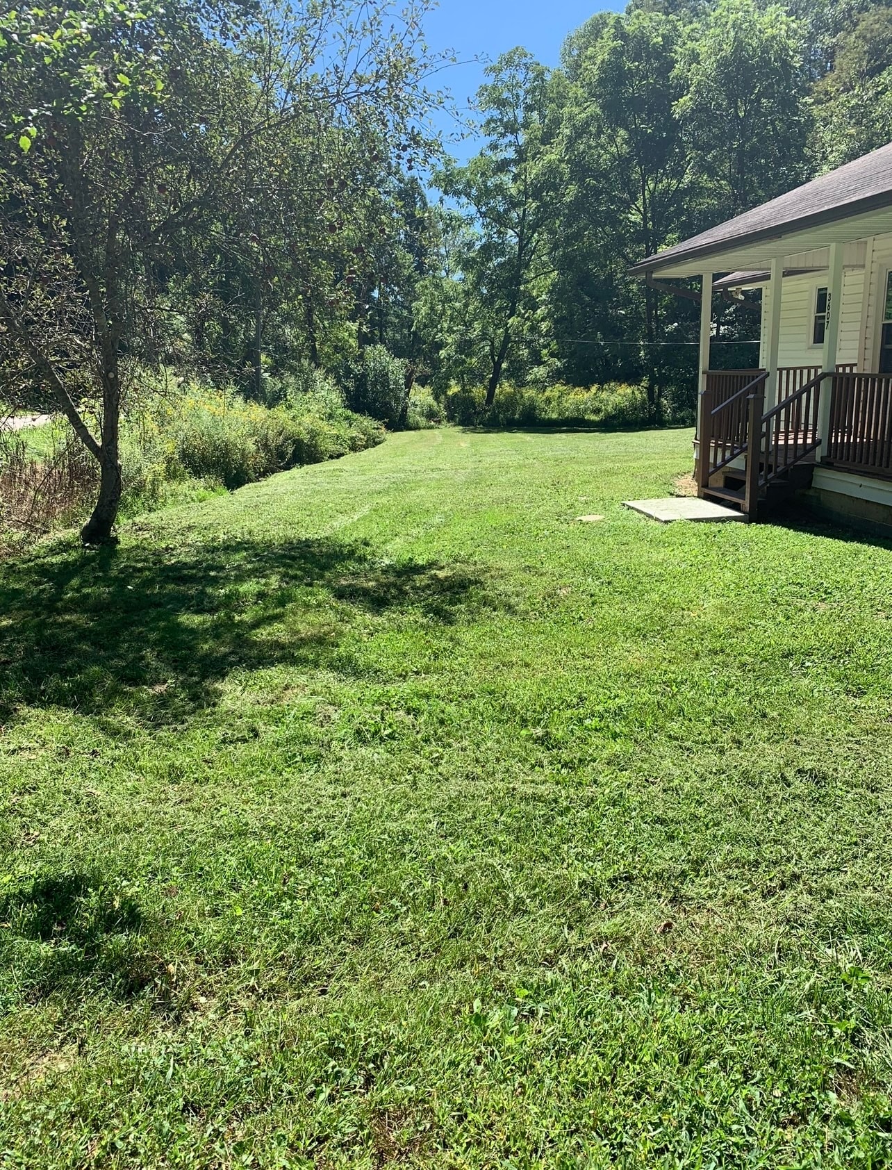 Building Photo - 3607 Sink Valley Rd