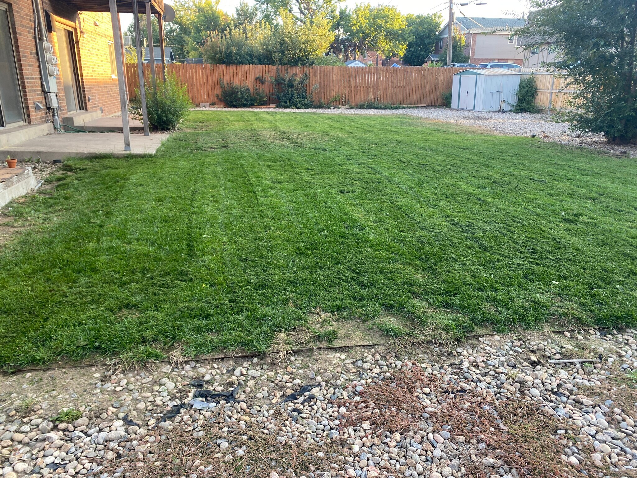 Backyard - 3595 S King St