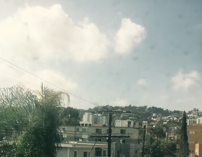 Building Photo - 901 N Alfred St