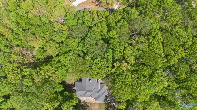 Building Photo - 511 Rainbow Dr