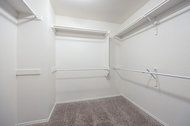 Building Photo - 8529 Prairie Dawn Dr