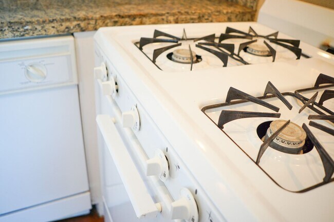 Building Photo - Beautiful and Spacious Studio in Fantastic Location Ready Mid-May!