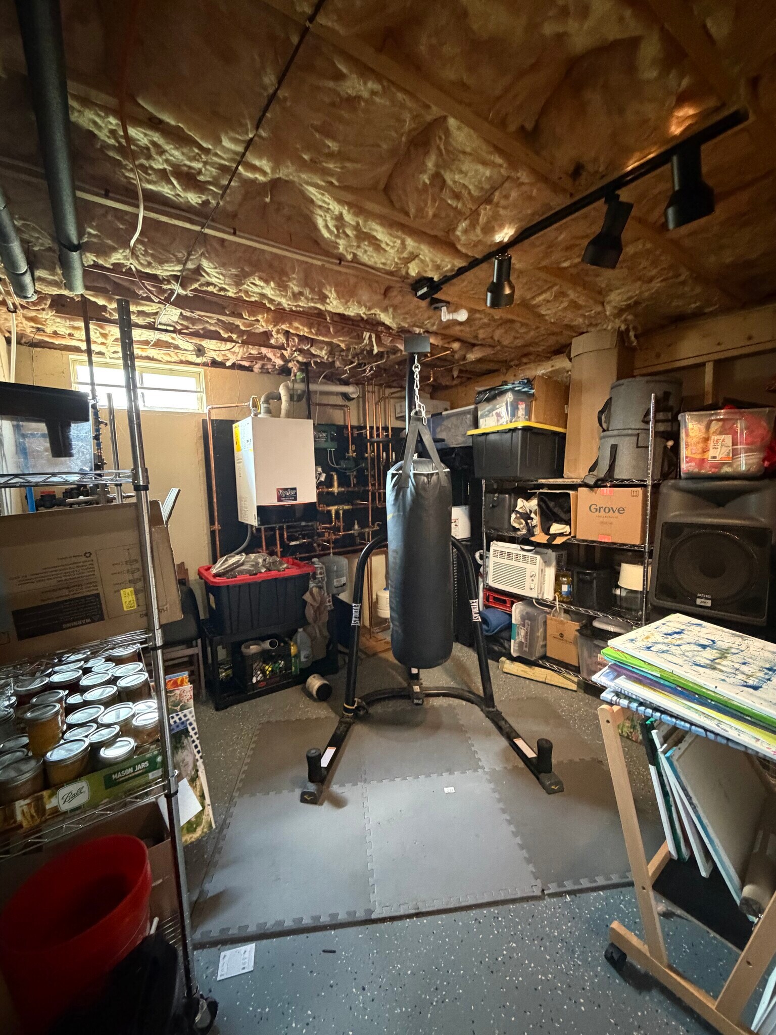 Punching bag, and shelves will be emptied for rental - 207 Pasture Dr