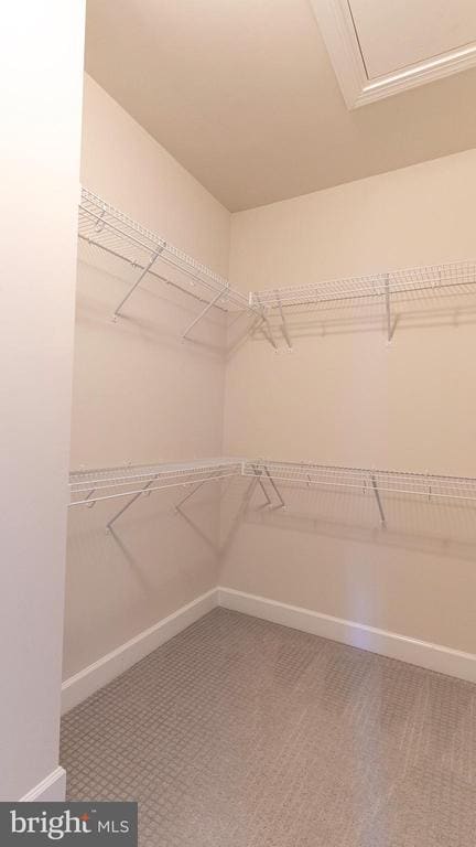 Building Photo - 13804 Litespeed Way