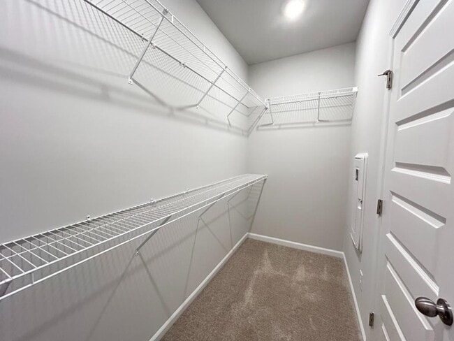 Building Photo - 762 Sturdy Root Pl