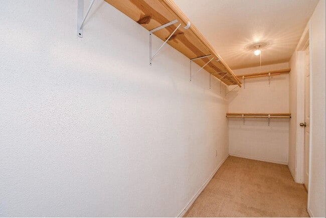 Building Photo - 7233 Beechnut St
