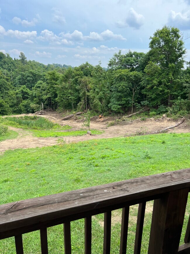 Covered back deck overlooks pond (current photo shows removal of trees/brush) - 66165 N Moss Run Rd
