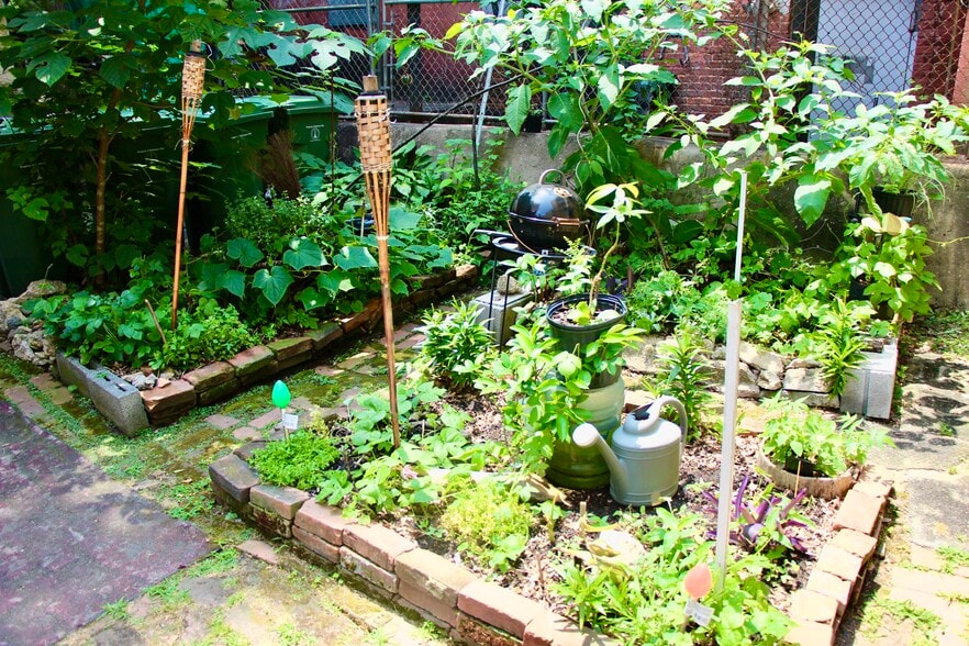 Courtyard garden - 21 E Centre St