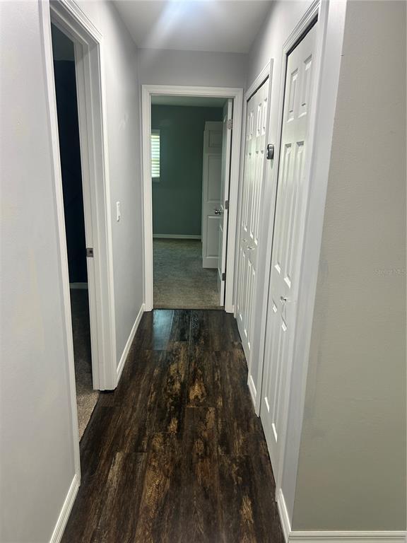 Building Photo - 501 Firefly Ln