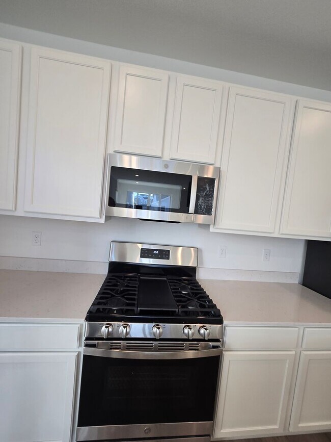 Building Photo - Brand New Aurora Highlands Ranch