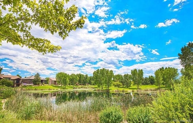 Building Photo - Gorgeous 3B/2B in Anthem Ranch!