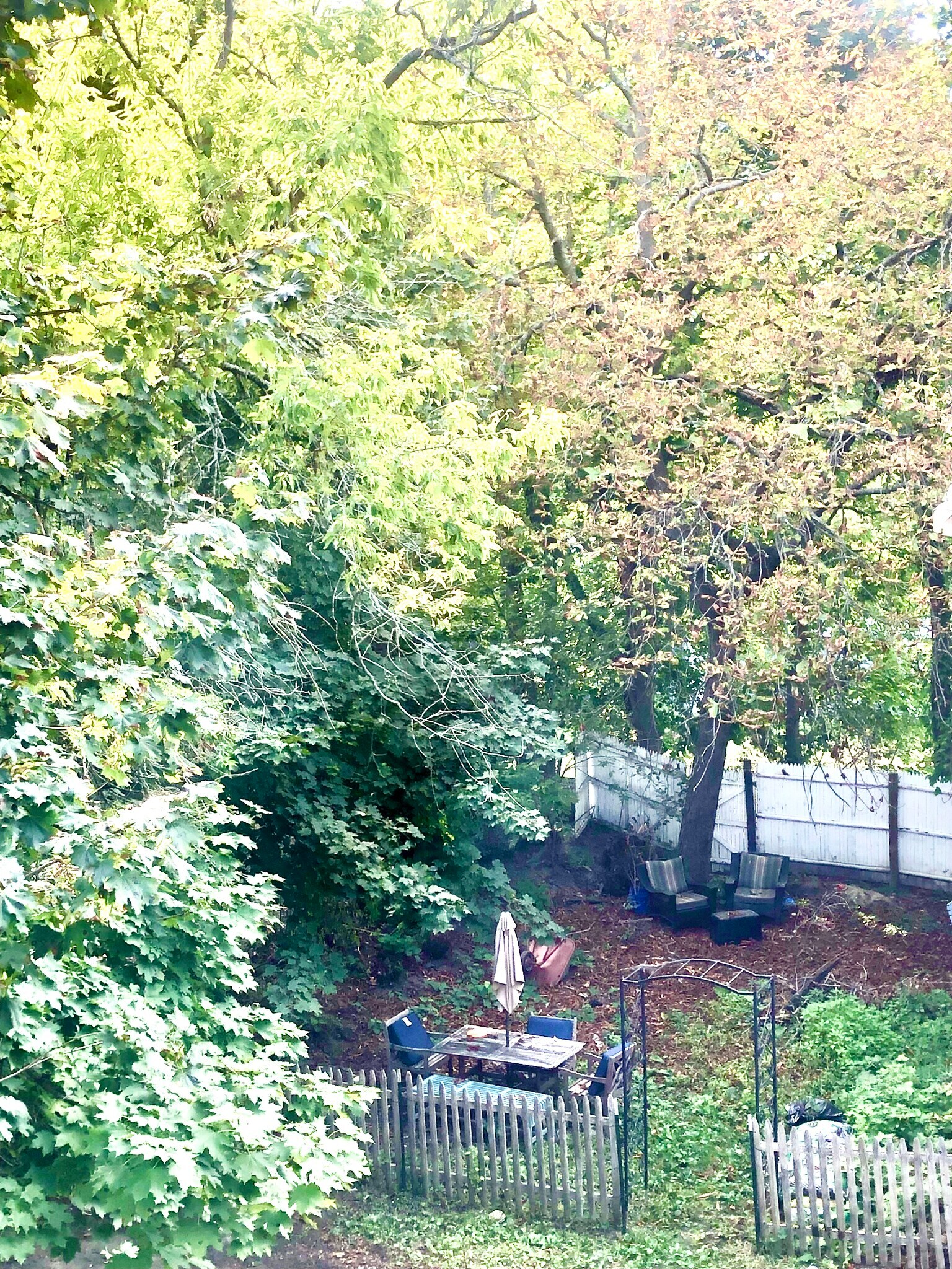 Building Photo - 100 College St