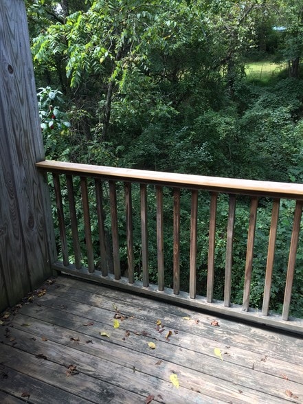Deck View - 222 New Stock Rd
