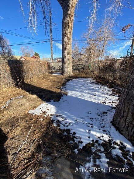 Building Photo - 814 Mariposa St