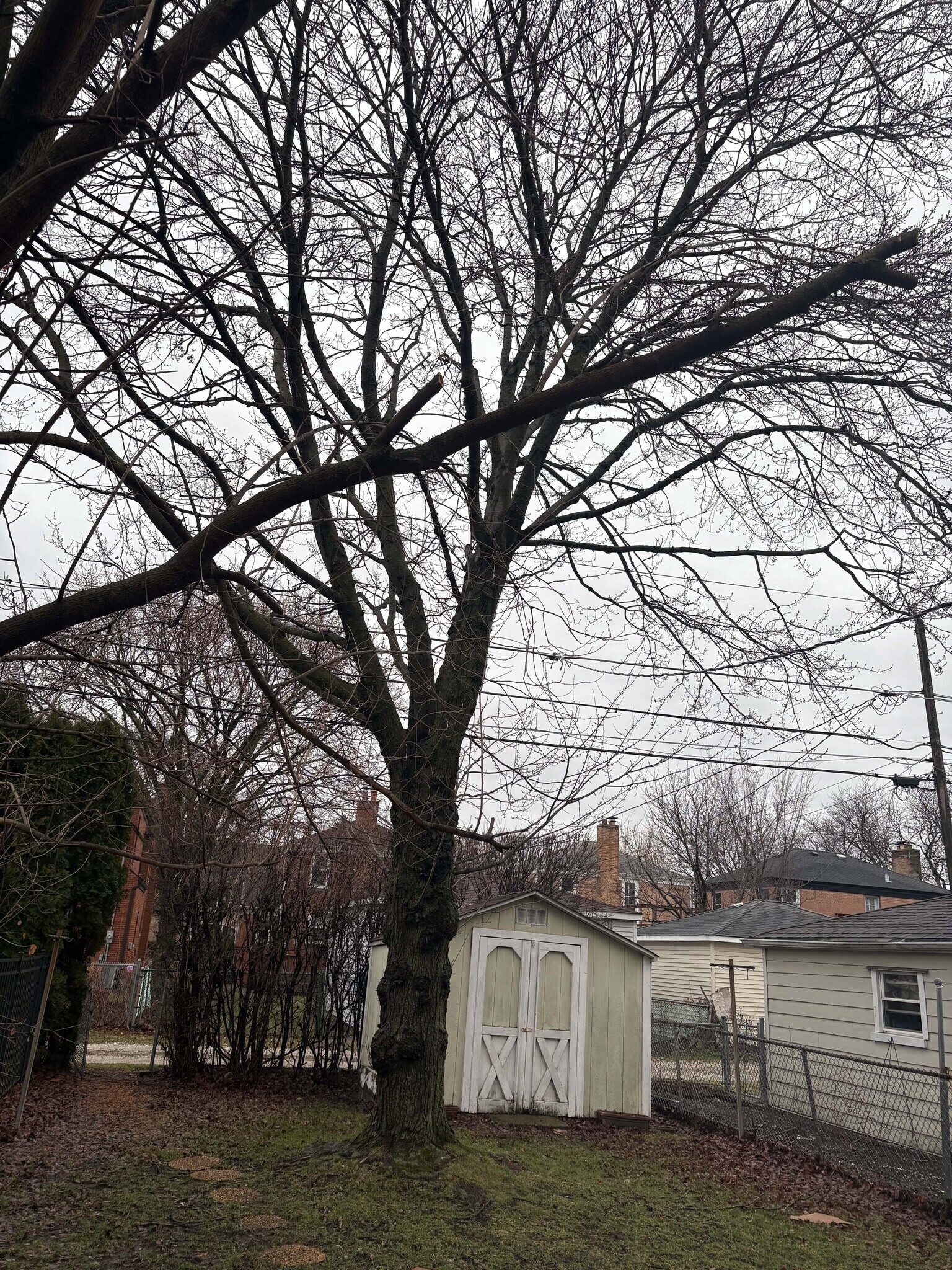 Building Photo - 6704 N Trumbull Ave