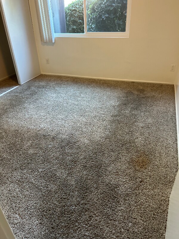 Building Photo - 10200 De Soto Ave