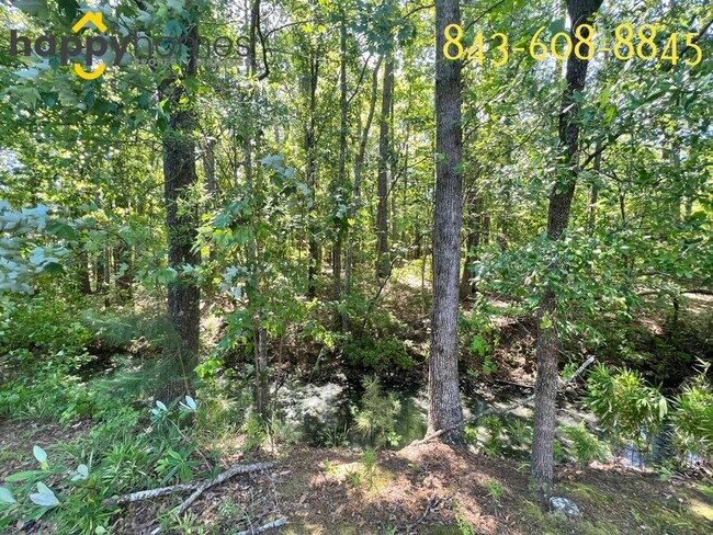 Building Photo - 2 bedroom 2.5 bath home in Goose Creek