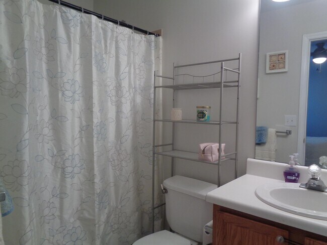 Building Photo - 3809 Satinleaf Dr