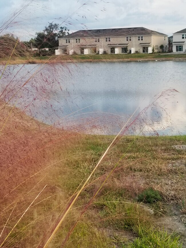 Building Photo - 5742 Archipelago St