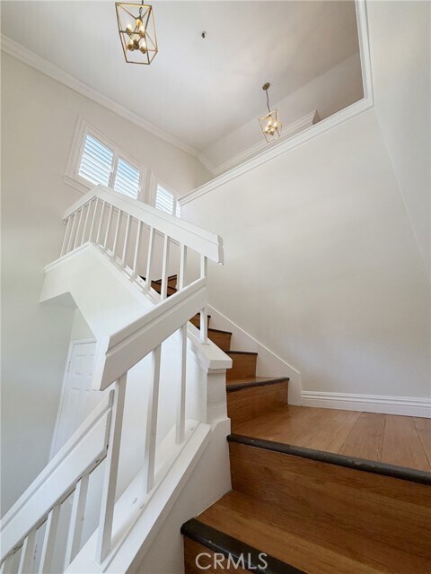 Building Photo - 53 Cartier Aisle